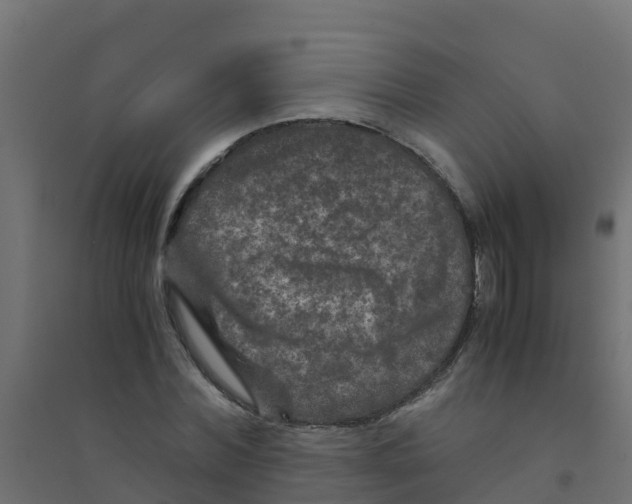 X0000094180780200711241552