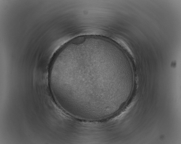 X0000094180781200711241552