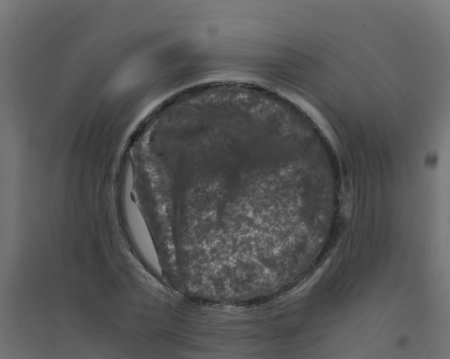 X0000094180783200711241552