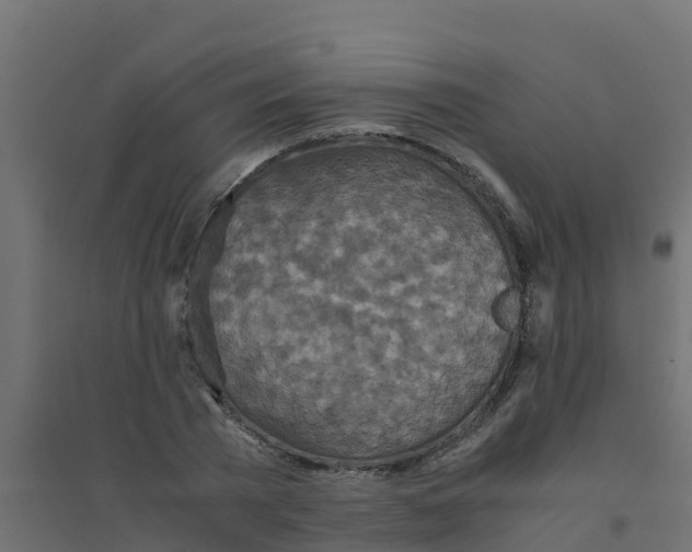 X0000094180785200711241552