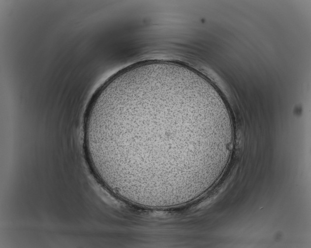 X0000094180787200711241552