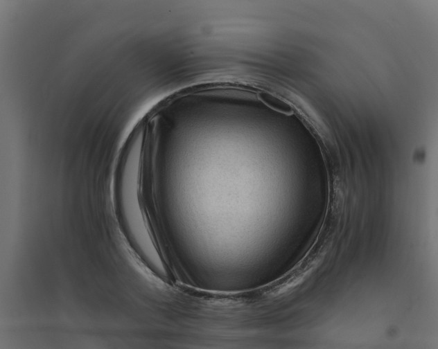 X0000094180788200711241552