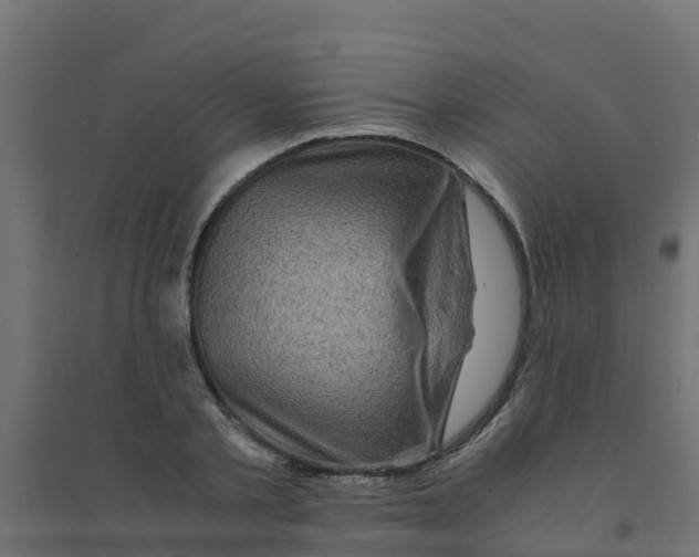 X0000094180789200711241552