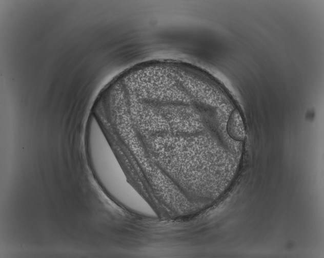 X0000094180791200711241552