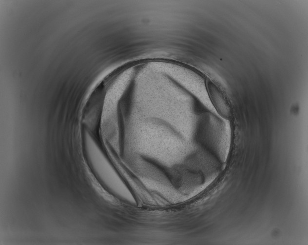 X0000094180792200711241552