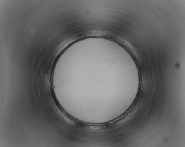 X0000094180794200711241552