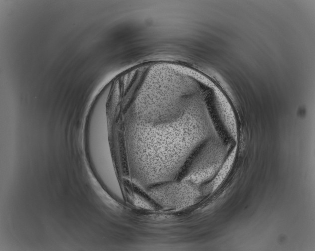 X0000094180795200711241552