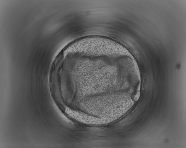 X0000094180796200711241552