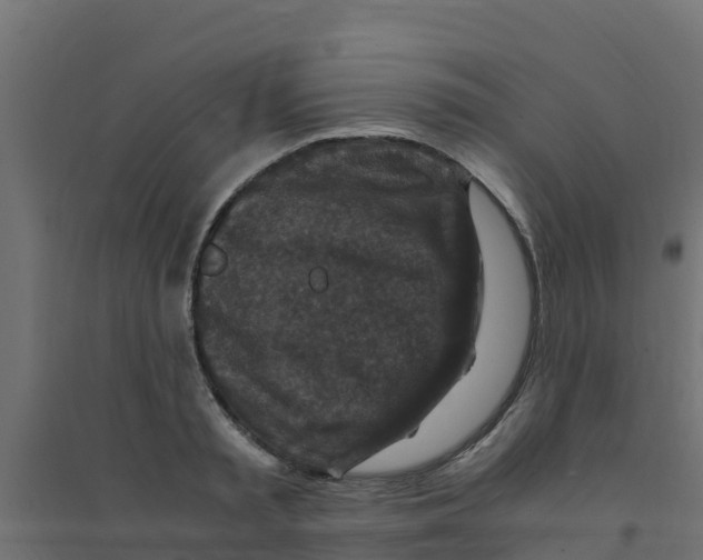 X0000094180797200711241552