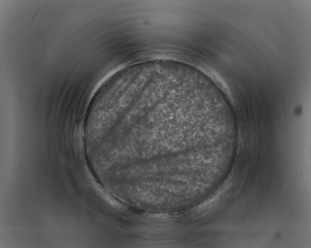 X0000094180798200711241552