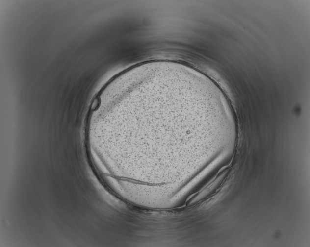 X0000094180803200711241552