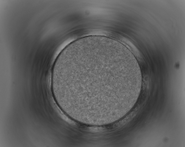 X0000094180804200711241552