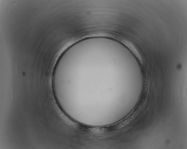 X0000094180805200711241552