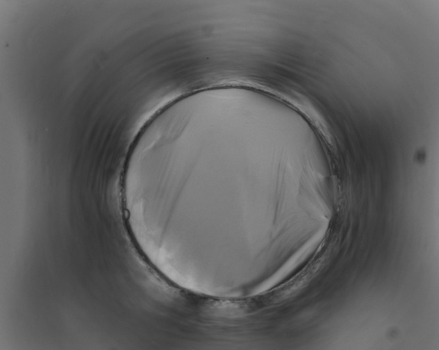 X0000094180806200711241552