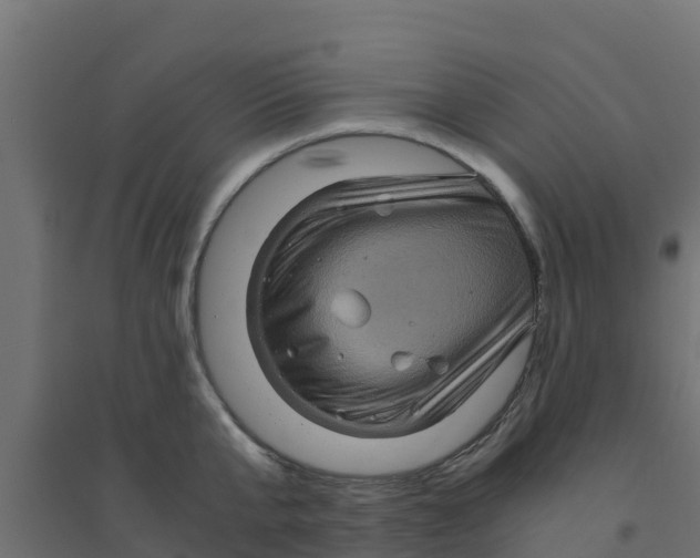 X0000094180807200711241552