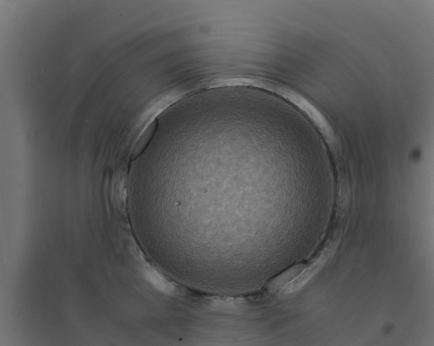 X0000094180809200711241552