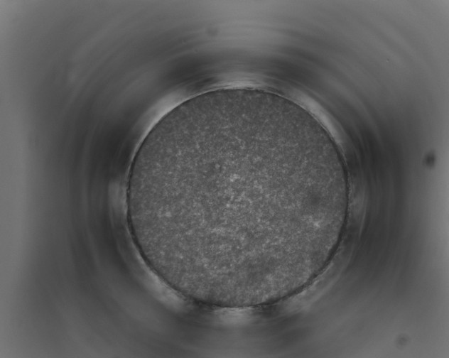 X0000094180810200711241552