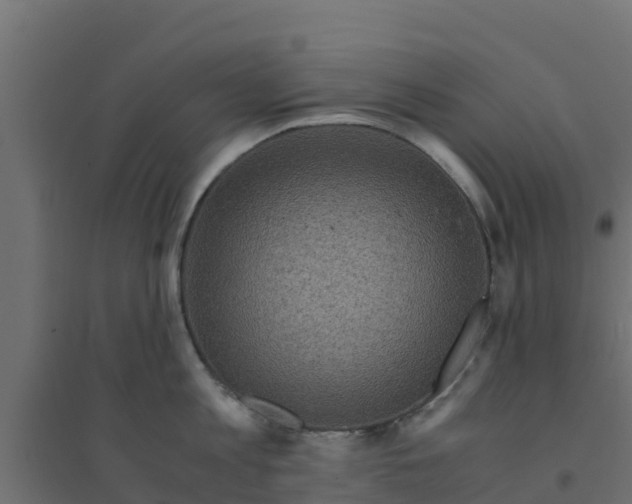 X0000094180813200711241552