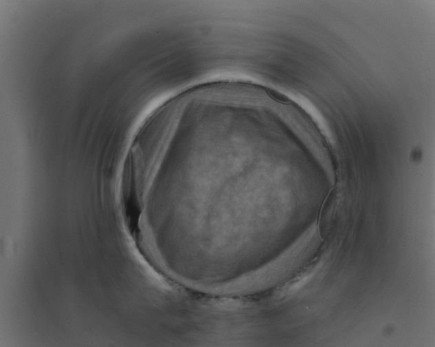 X0000094180815200711241552