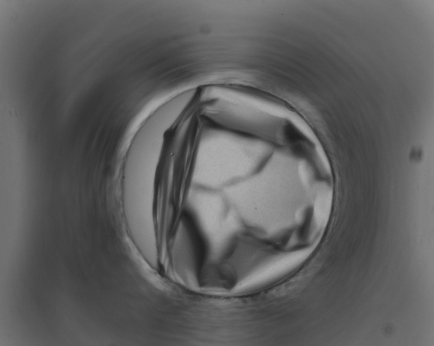 X0000094180816200711241552
