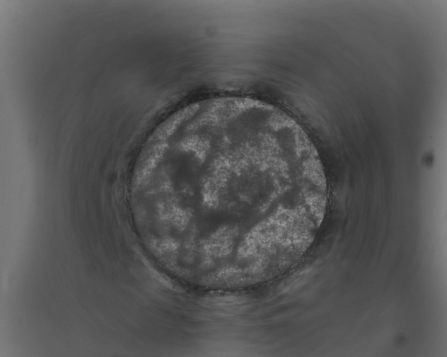 X0000094180817200711241551