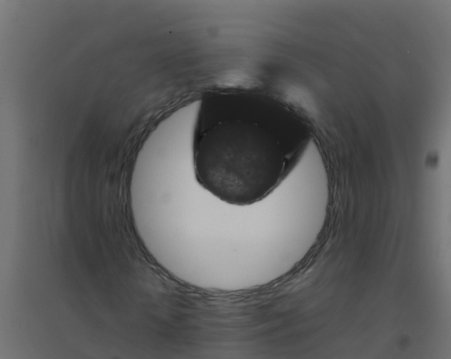 X0000094180818200711241551