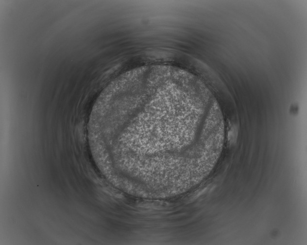 X0000094180819200711241551