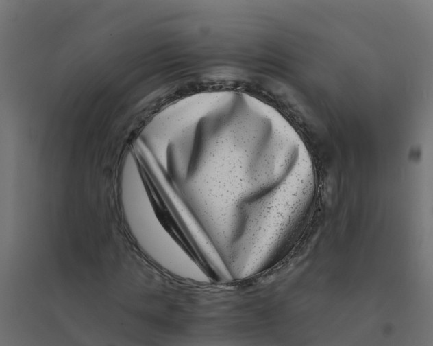 X0000094180821200711241551