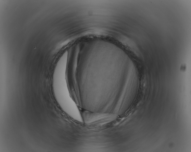 X0000094180822200711241551