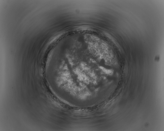 X0000094180823200711241551
