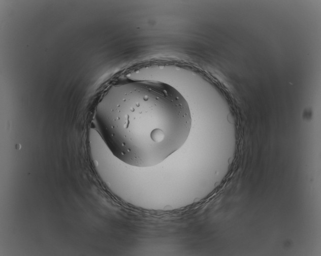 X0000094180824200711241551