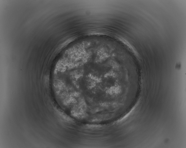 X0000094180825200711241551
