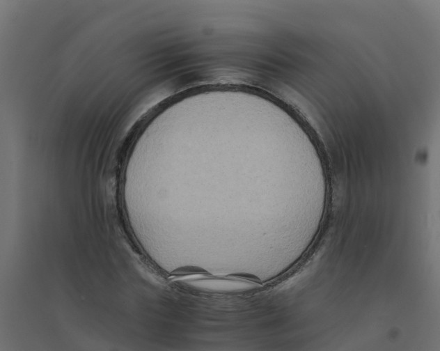 X0000094180827200711241551