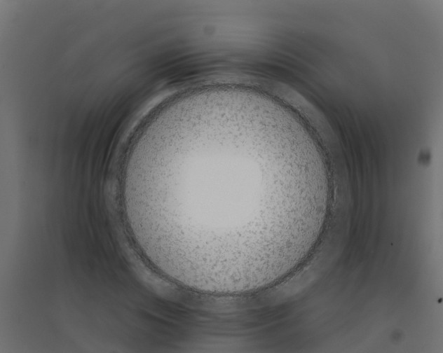 X0000094180828200711241551
