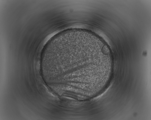 X0000094180829200711241551