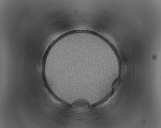 X0000094180831200711241551