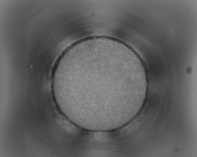 X0000094180832200711241551