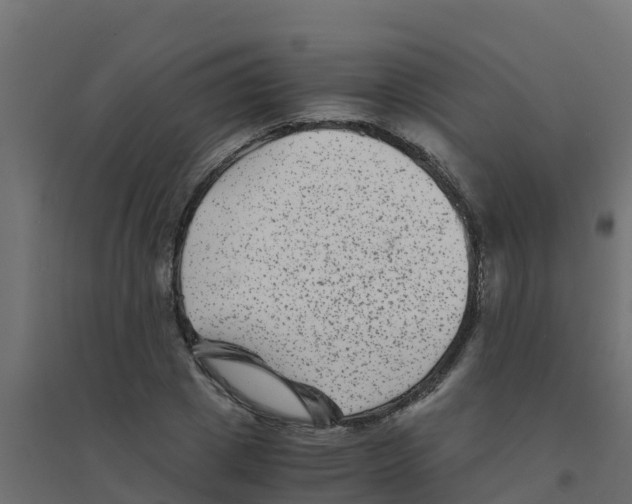X0000094180833200711241551
