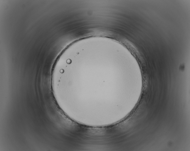 X0000094180836200711241551