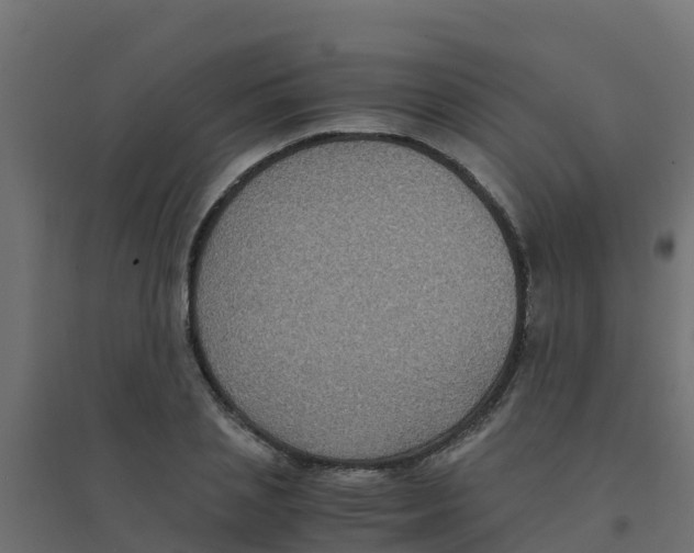 X0000094180837200711241551