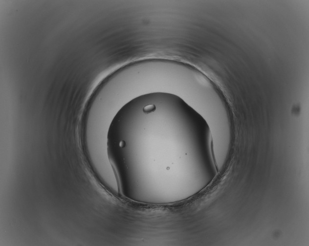X0000094180838200711241551