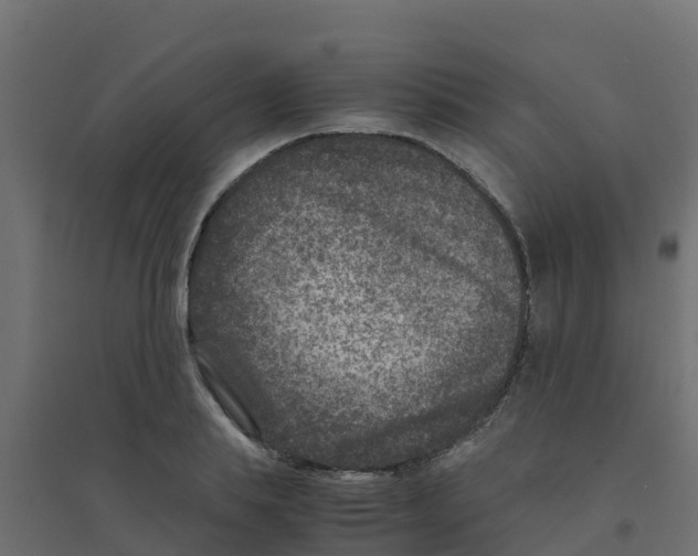X0000094180839200711241551