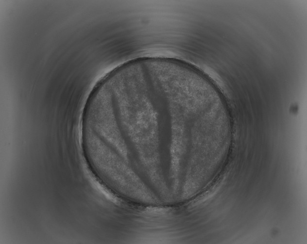 X0000094180840200711241551