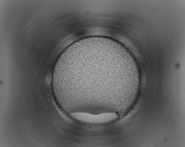 X0000094180841200711241551