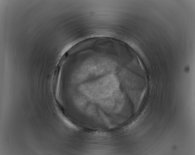 X0000094180842200711241551