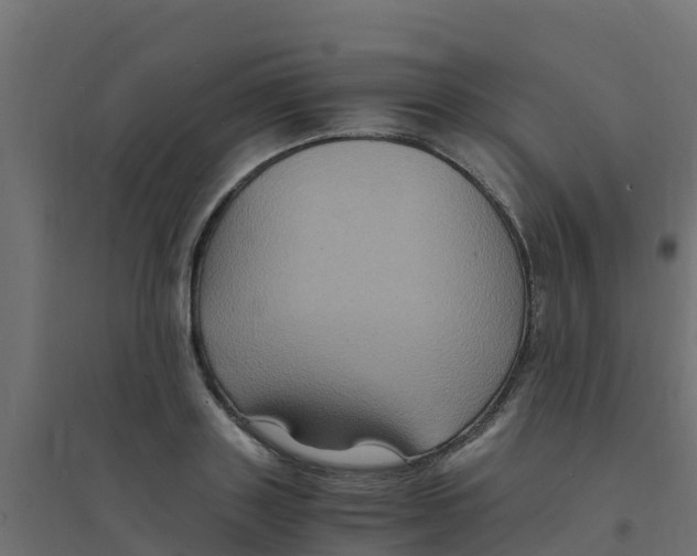 X0000094180843200711241551