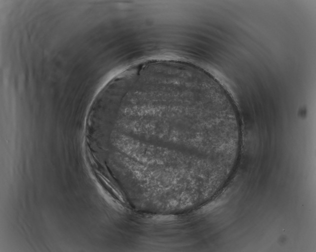 X0000094180845200711241551