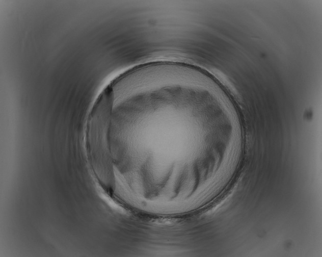 X0000094180846200711241551