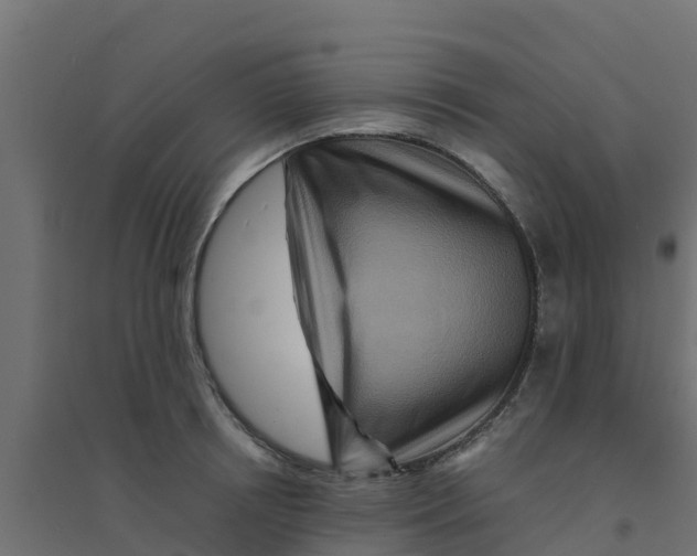 X0000094180850200711241551