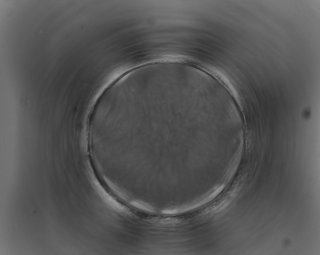 X0000094180851200711241551